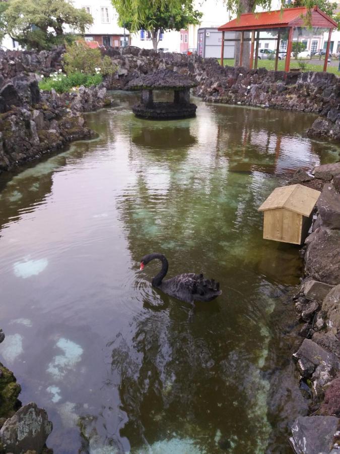 Garden View Apartment 奥尔塔 外观 照片